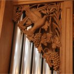 Duif met een olijfblad